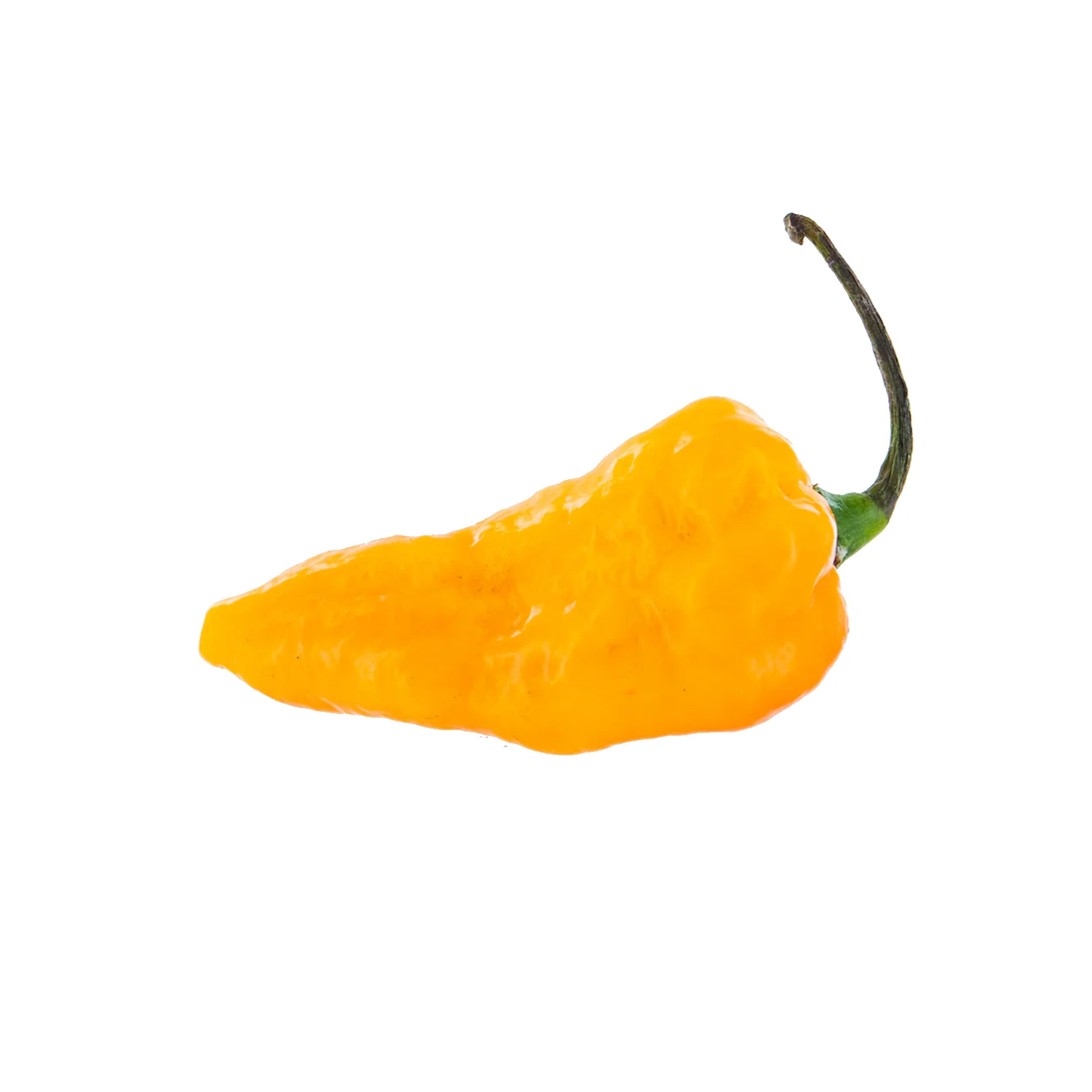 Hot Pepper Seeds